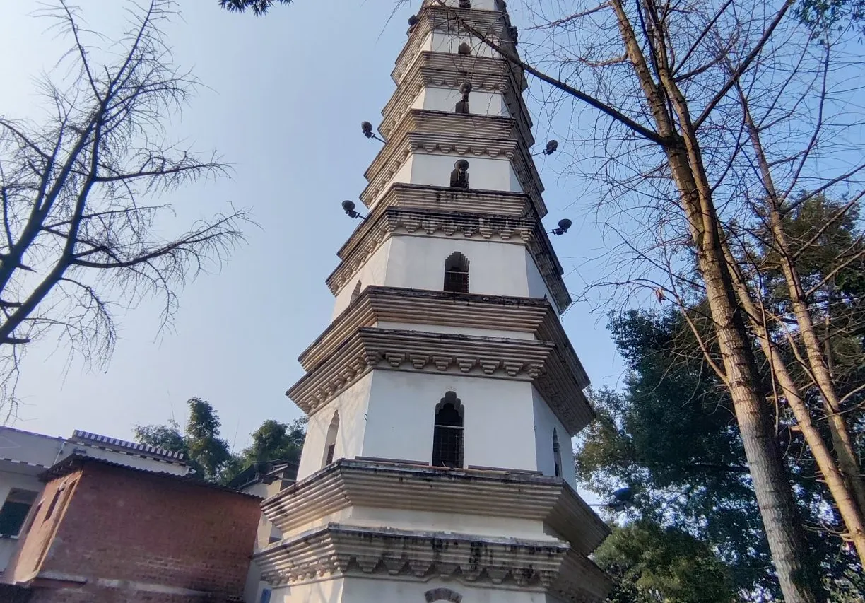 江阳雁塔 1