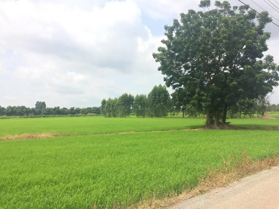 泰之家度假村 5
