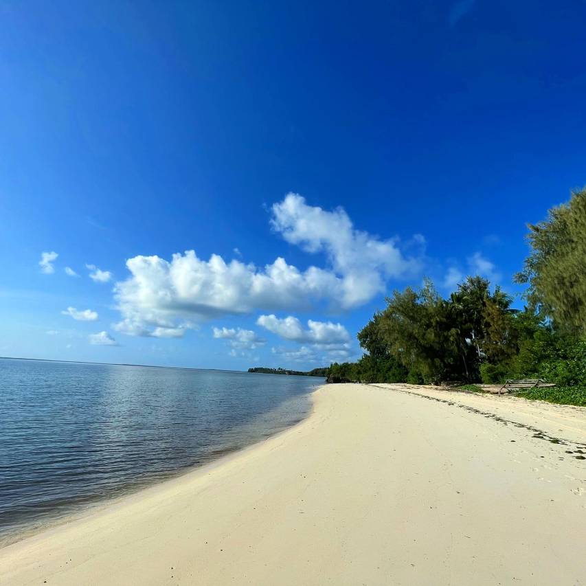 Five Palms 7