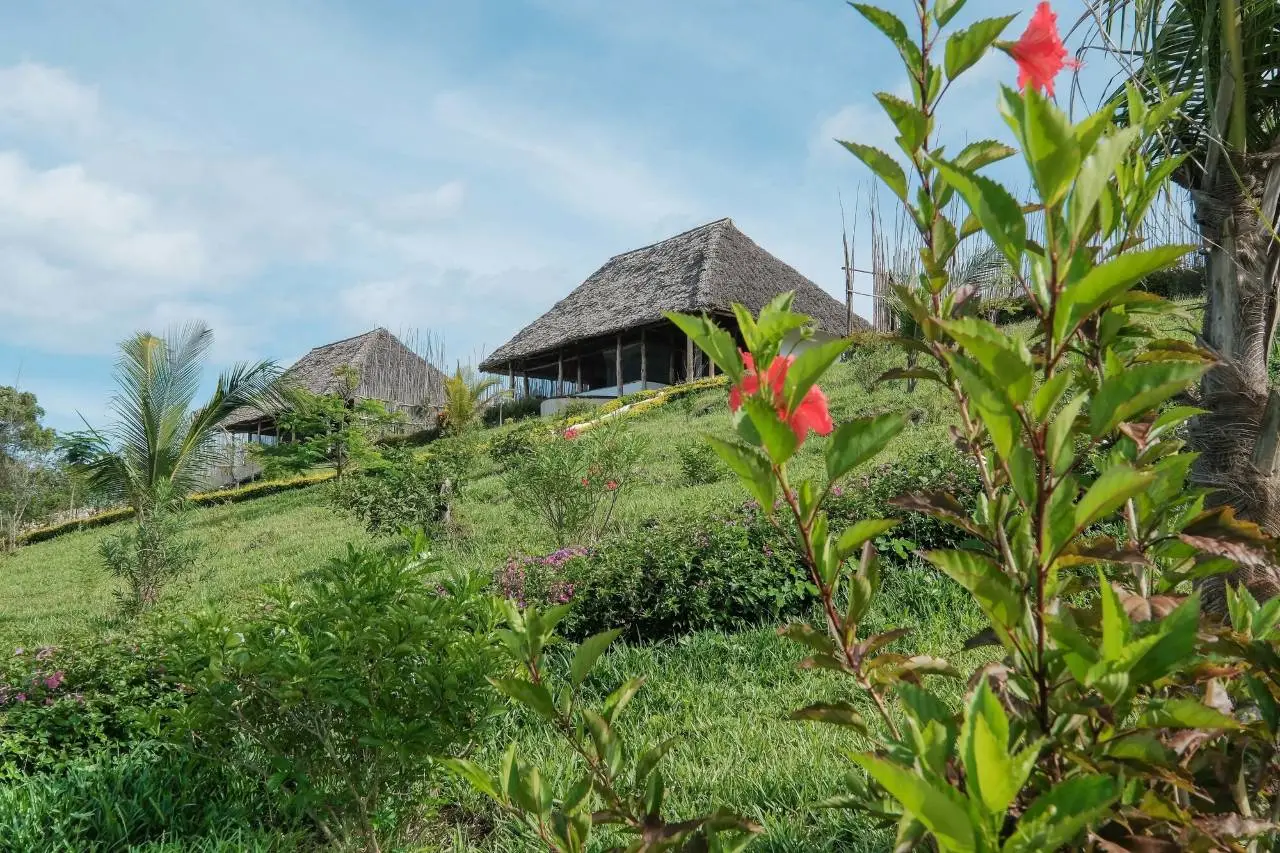 Jua Retreat 2