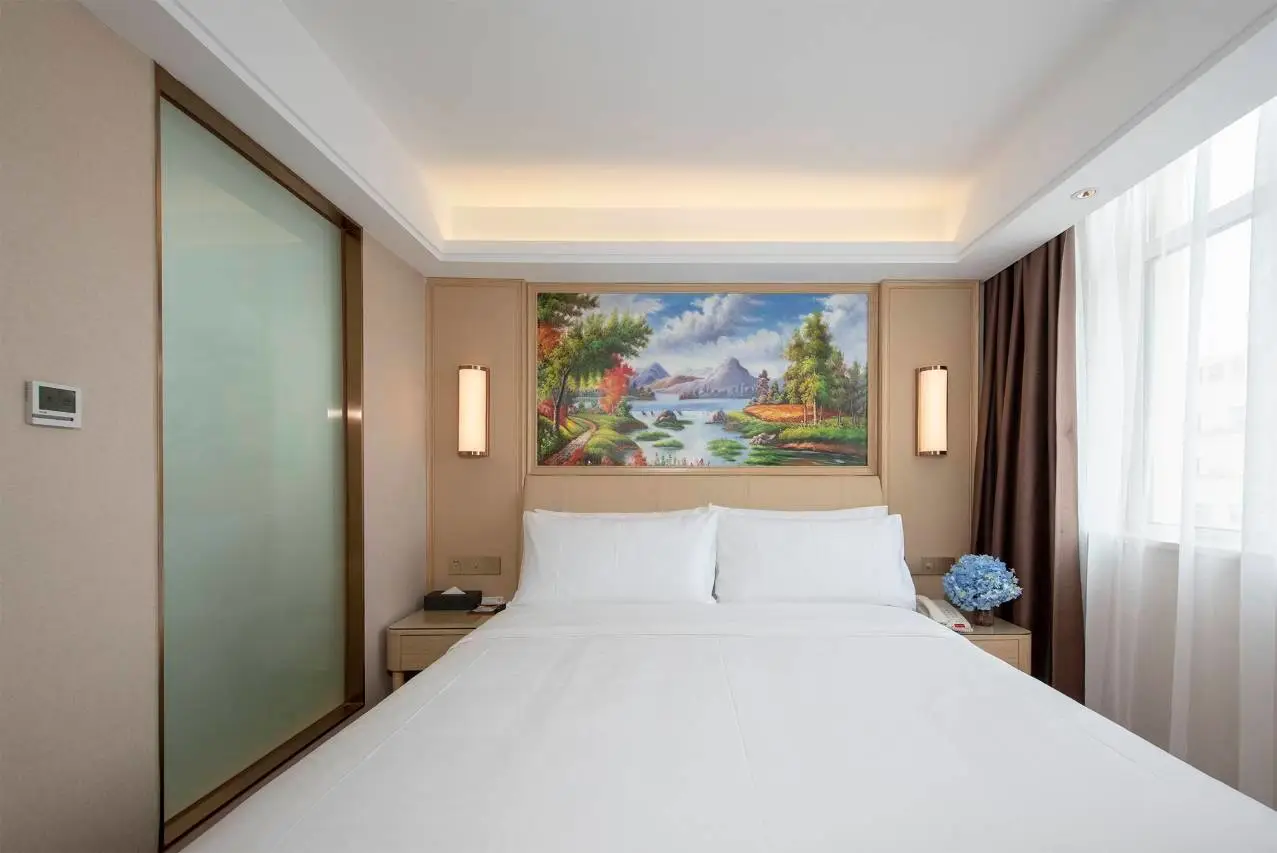Vienna Hotel (Tianjin Beicheng District Yixingbu North Subway Station Store) 3